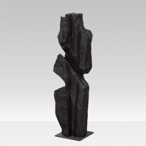 Thierry Colson | Abstract Wood Sculpture | France 2025