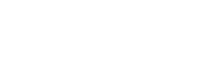 logo-flair-white2